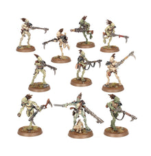 Image of KROOT CARNIVORE SQUAD Warhammer product