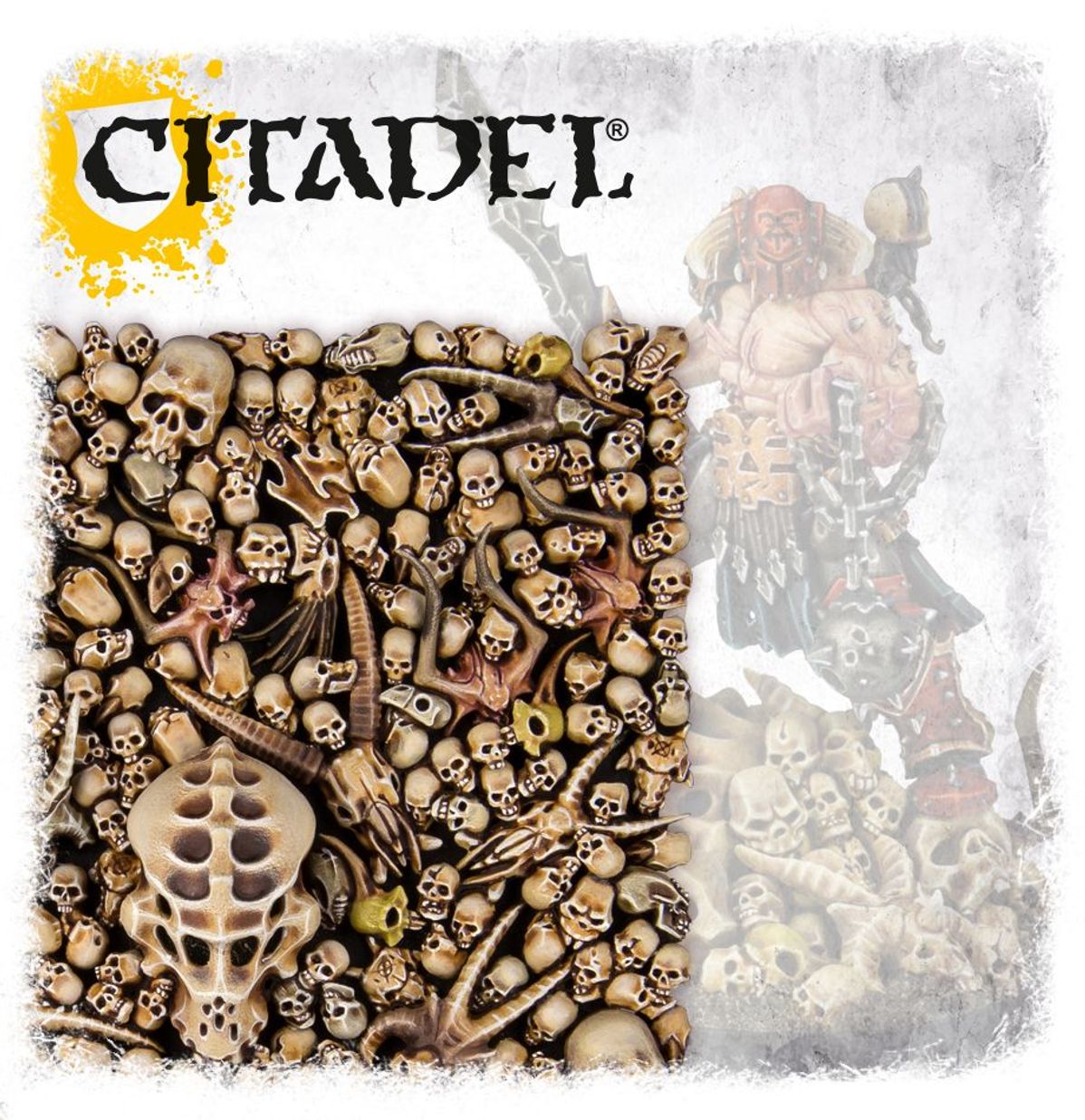 Image of SKULLS Warhammer product
